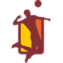 Fed Sanjuanina de Voleibol