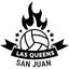 Queens Voley (SJ) Logo